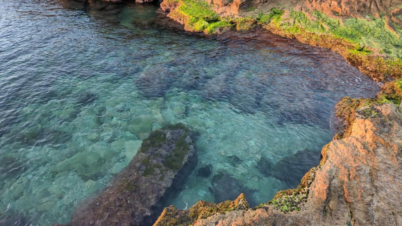 100 Mt Playa De Los Locos Torrevieja Eksteriør billede